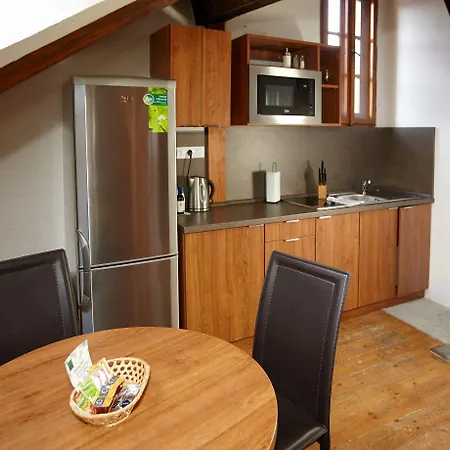 Apartament Muzeum Vltavinu Czeski Krumlow