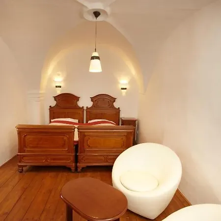 维塔维诺博物馆酒店 * Český Krumlov